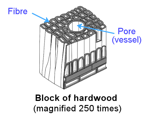 Image for slide 2