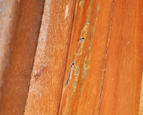 Image for slide 13