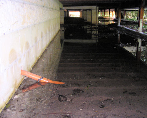 Image for slide 2
