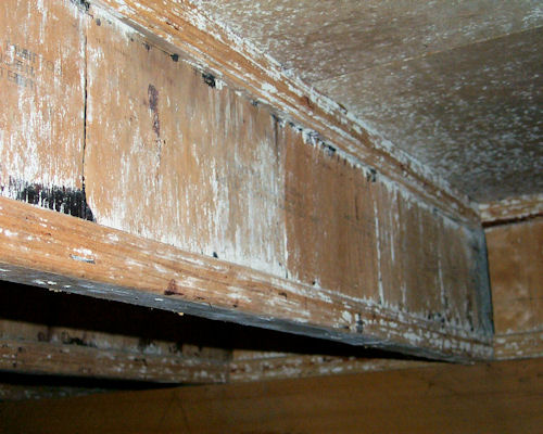 Image for slide 3 Image for slide 3